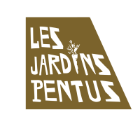 logo-M - 1
